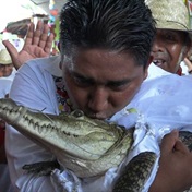 'We love each other,' says Mexico mayor as he marries reptile for peace