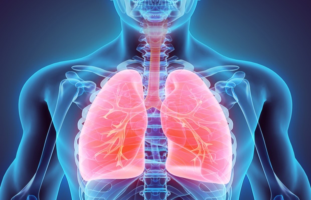 lung diagram 