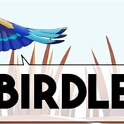 Fowl play: This Wordle spinoff will help you learn more about SA's birds