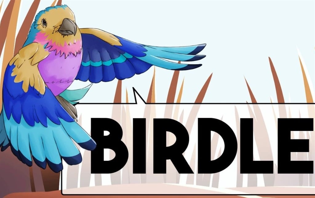 The newly launched Birdle is targeted at anyone interested in nature and learning about South Africa's diverse birdlife.