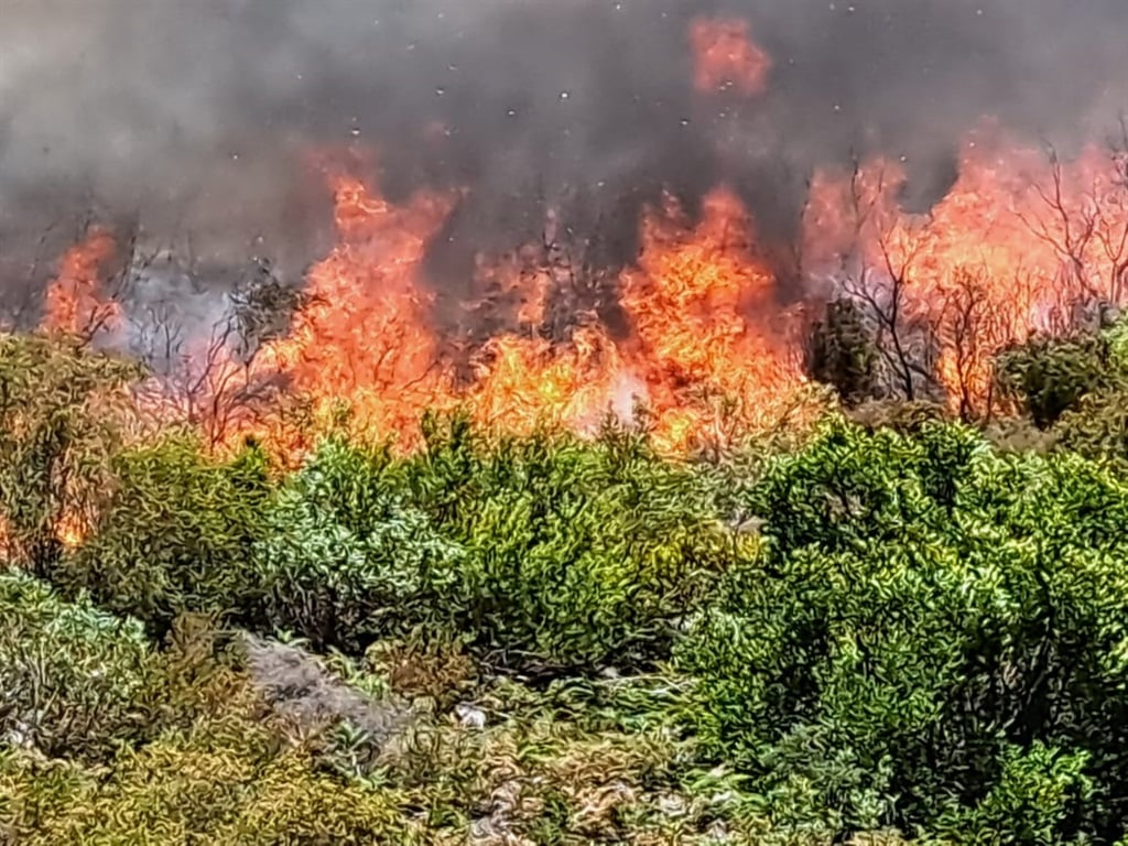 Firefighters Battle Blaze In Cape Winelands News24