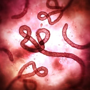New experimental Ebola vaccine raises hope. 