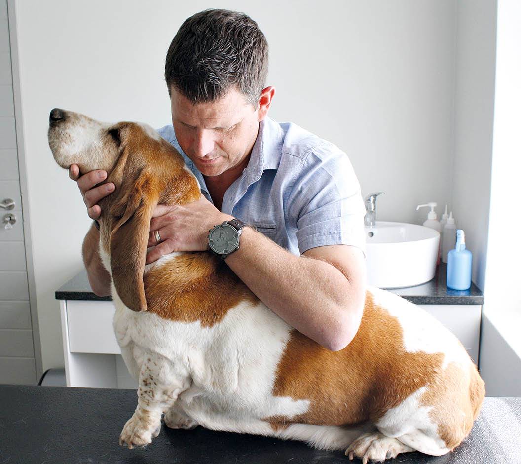 Dr. Philip Groenewald besig met ’n hondepasiënt. Danksy sy opleiding as veearts én chiropraktisyn kan hy agterkom wat ’n dier nodig het en só ’n groot verskil aan die dier se lewensgehalte maak. FOTO’S: VERSKAF