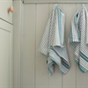 Do you know what’s growing on your kitchen towels?