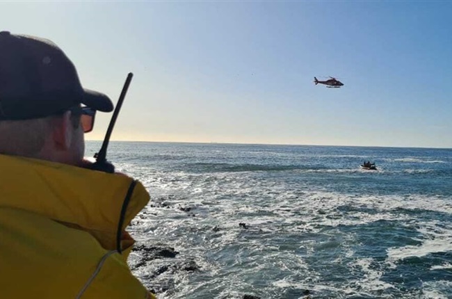 Pod of Dolphins Found Accompanying Body of Drowned Teen