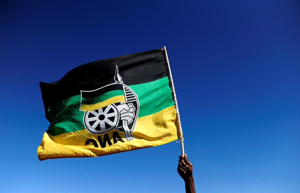 If the ANC loses enough support in the next national elections, South Africa could see a coalition government. Picture: Tebogo Letsie/City Press