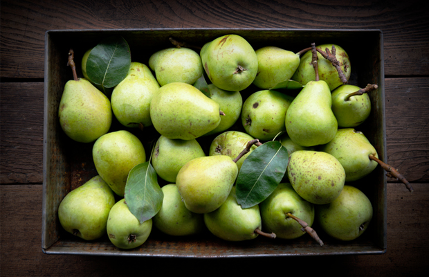 Bowl of green pears