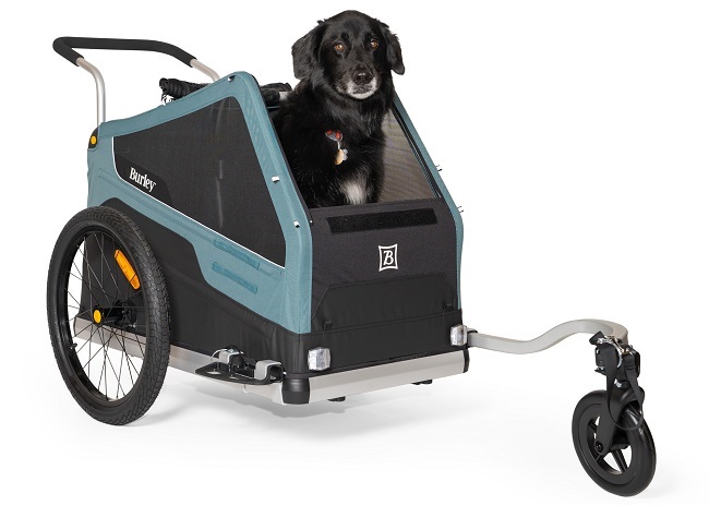 The safest way to go riding with your dog, is using a proper trailer. (Photo: Burley) 