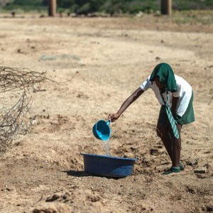 A shool girl tries to collect water from a dry puddle in Nongoma, north west of Durban, that has been badly affected by the recent drought, near a free water point sponsored by concerned citizens on November 9, 2015. AFP PHOTO/MUJAHID SAFODIEN 