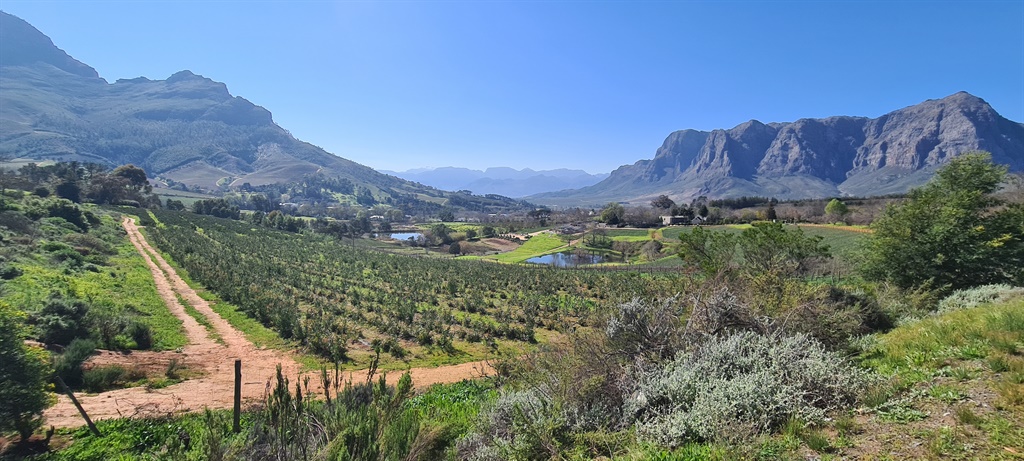 The Banhoek Valley, over Helshoogte Pass from the university town of Stellenbosch, in the Cape Winelands. (Murray Williams, News24)