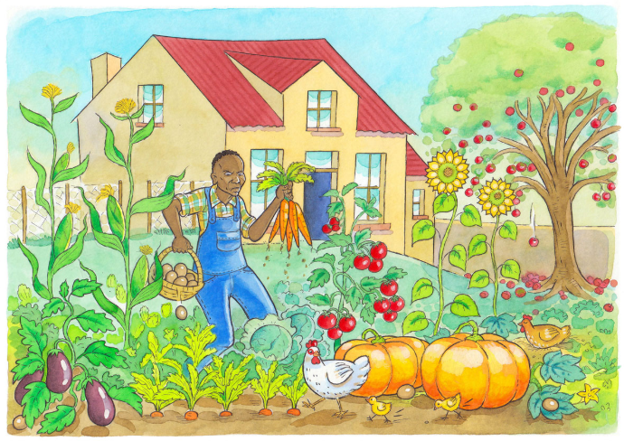 Mr Shabalala's Garden storybook - download here!