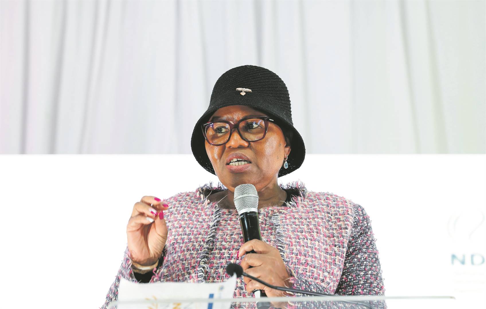 Minister of Social Development Lindiwe Zulu           