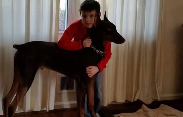 Connor and his dog Copper. (Photo: GoFundMe page)