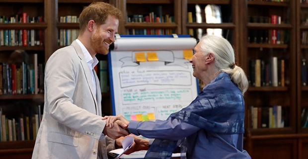 Prince Harry and Dr Jane Goodall (Photo: Getty Images)