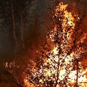Arctic fires could release catastrophic amounts of carbon emissions - study
