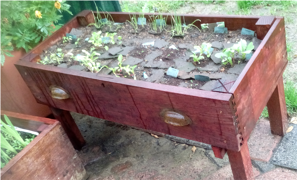 Peter Sutherland upcycling planter