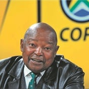Ramaphosa's snake comment angers party!   
