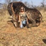 'It’s much crueller to let a giraffe die of old age’: SA experts weigh in on Tess Talley hunting outrage