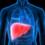 Risk factors for non-alcoholic fatty liver disease