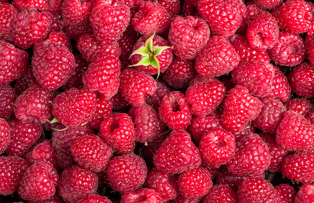 raspberry, fruit, healthy, food, nutritious