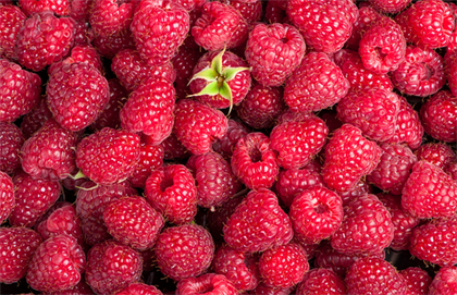 raspberry, fruit, healthy, food, nutritious