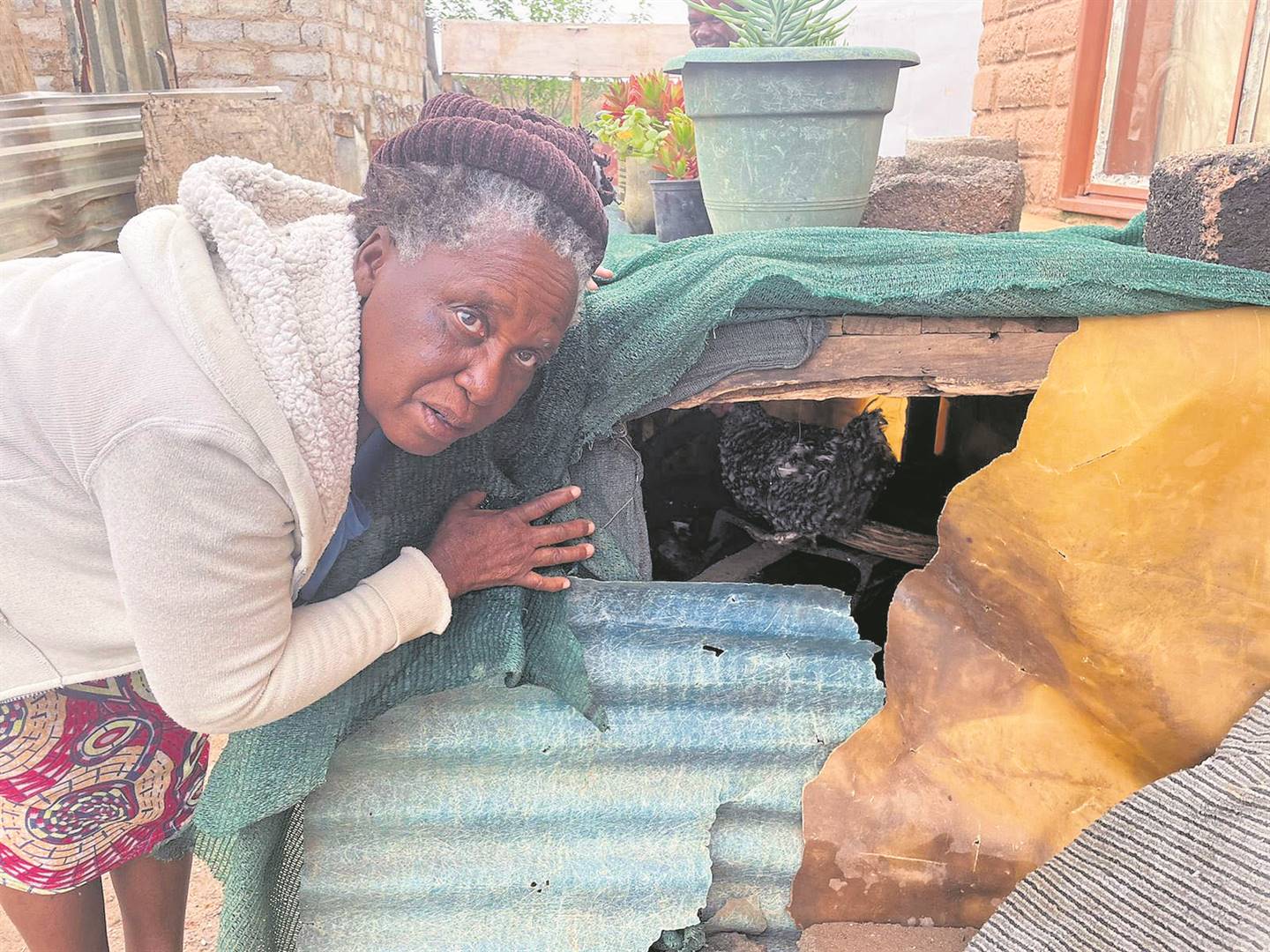 Gogo Johanna Makofane is left with only one chicken after the other five were killed.      Photo by Kgalalelo Tlhoaele