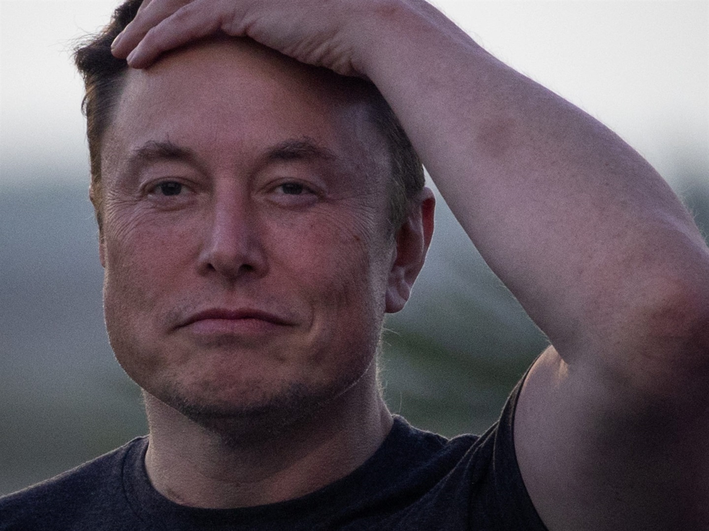 Elon Musk Petition: A Closer Look At Public Influence And Impact