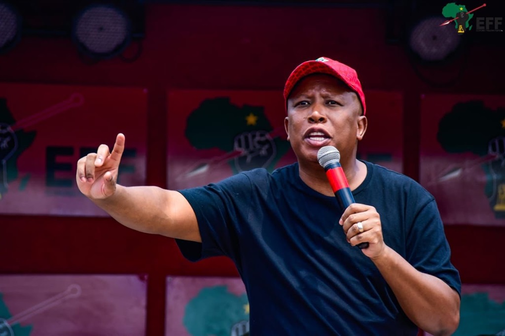 EFF leader Julius Malema.  (@EFFSouthAfrica/X)