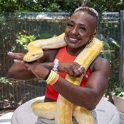 This Durban snake-catcher is passionate about educating people about these slithery creatures