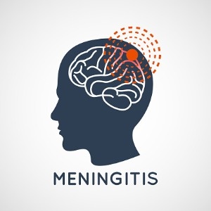 What is meningitis-300