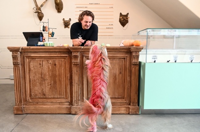 Rahmi Massarweh's restaurant, Dogue, serves bespoke meals to dogs. (PHOTO: Getty Images/Gallo Images)
