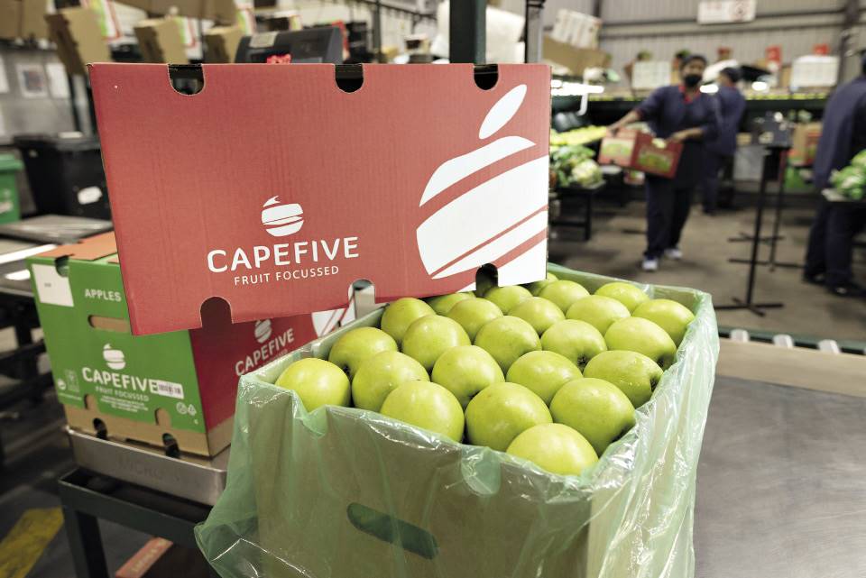 Cape Five voer tans 2 500 vraghouers vrugte per jaar na 55 lande uit. FOTO’S: VERSKAF