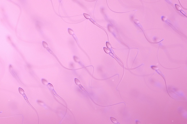 Human sperm, computer illustration.