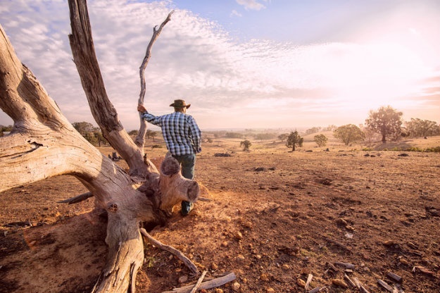 An Australian farmer looking out over his drought-stricken farm.