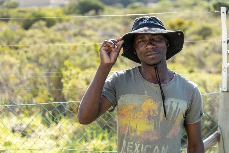 News24.com | 'We all need each other': Hero gardener saves elderly Western Cape man from burning car