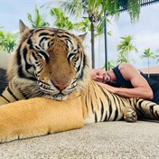 Did Nurkovic just lay on a tiger?