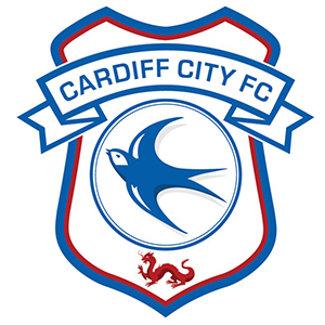 Cardiff City FC (File)
