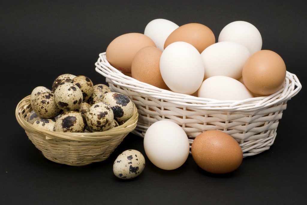 Стрим яйцо. Яйца маркетинг. Eggs in different Baskets. Eggs Market.