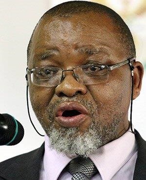 Mineral and Energy Resources Minister Gwede Mantashe (Gallo)