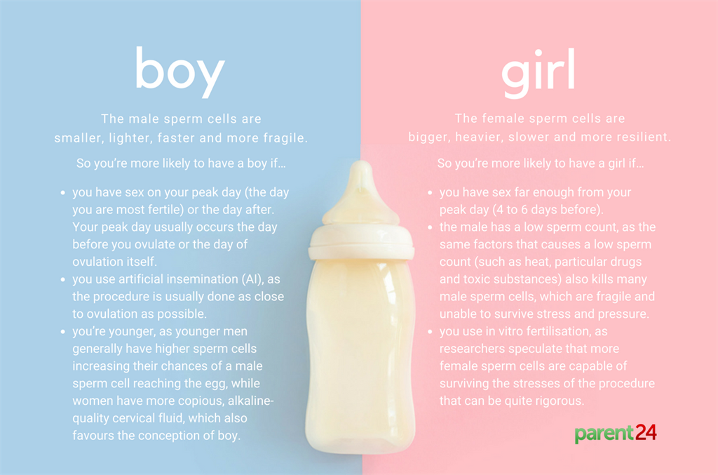 conceiving a boy and girl infographic