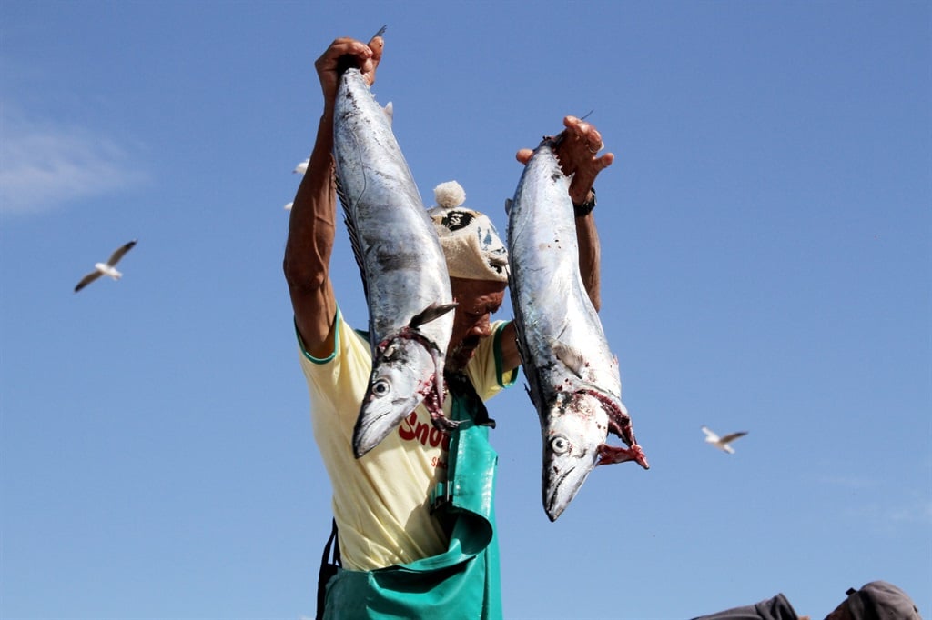 News24 | Shortage of snoek leaves many Western Cape households in a pickle this Easter weekend