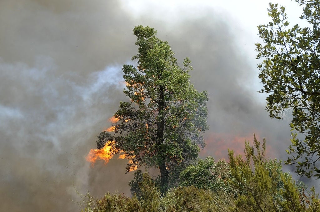 An Algerian court sentenced 48 people to death for killing a man they accused of setting deadly wildfires.