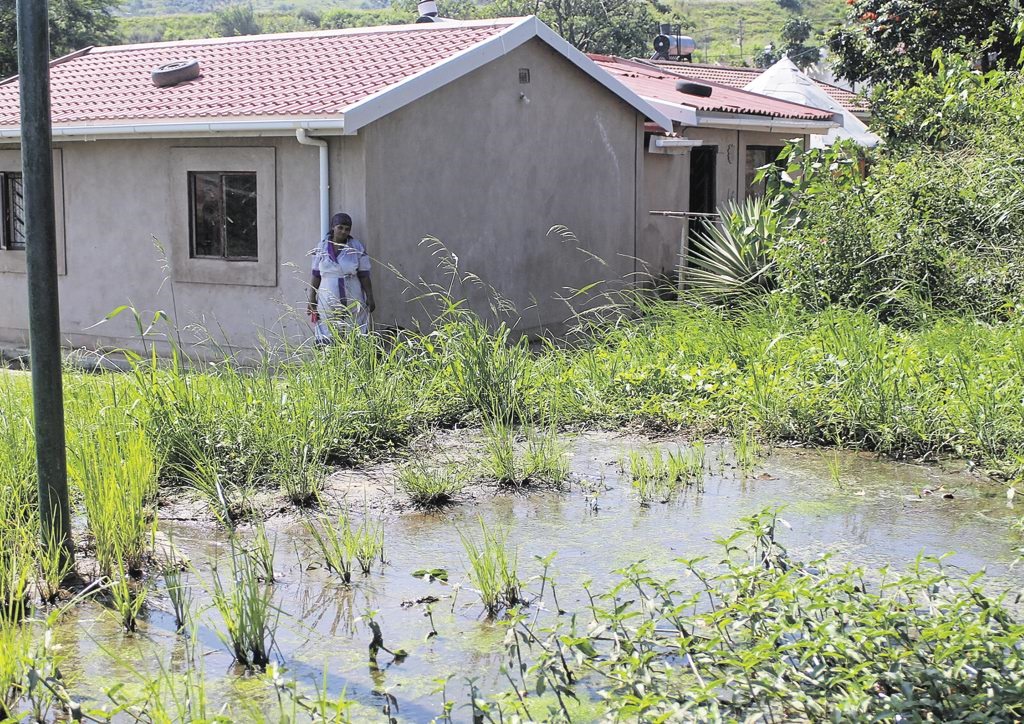 The stagnant water in which the boys were swimming when one of them drowned. Photo by Mthoko Ngubane