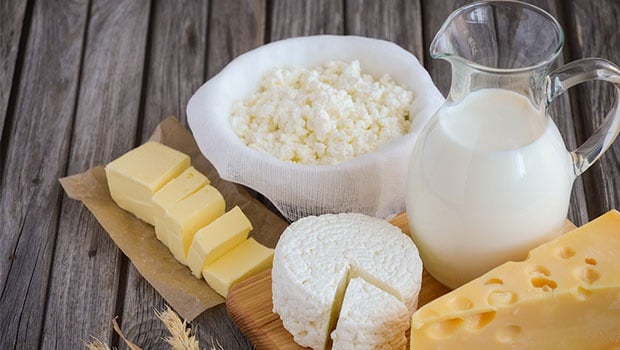 dairy products,cheese,milk