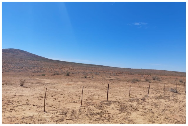 Die voortslepende droogte in die Namakwaland duur al vir byna agt jaar aan. Foto: Verskaf