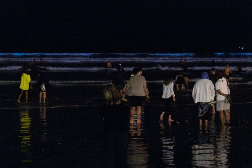 People flocked to Muizenberg beach on Monday night to watch the bioluminescence associated with a red tide.