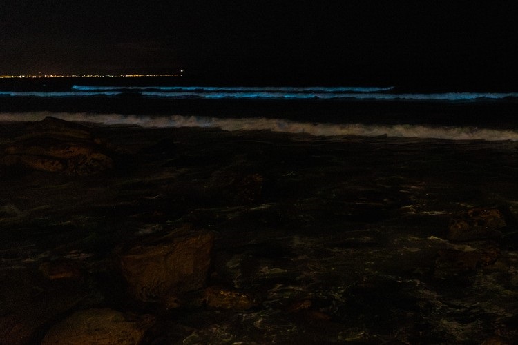 The view of the bioluminescence at False Bay.