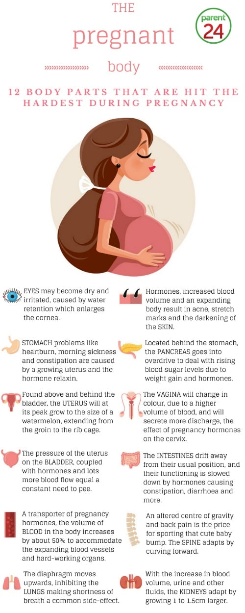 INFOGRAPHIC: 12 anatomic reasons you feel like crap during pregnancy