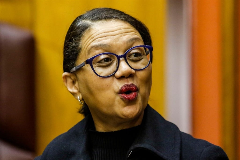 Tina Joemat-Pettersson has lambasted police management over the loss of firearms.