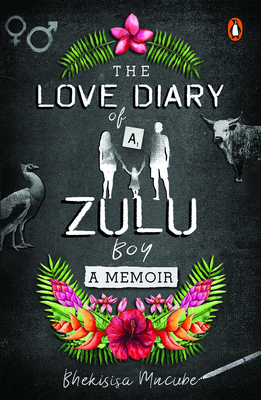 The Love Diary of a Zulu Boy PHOTO: 